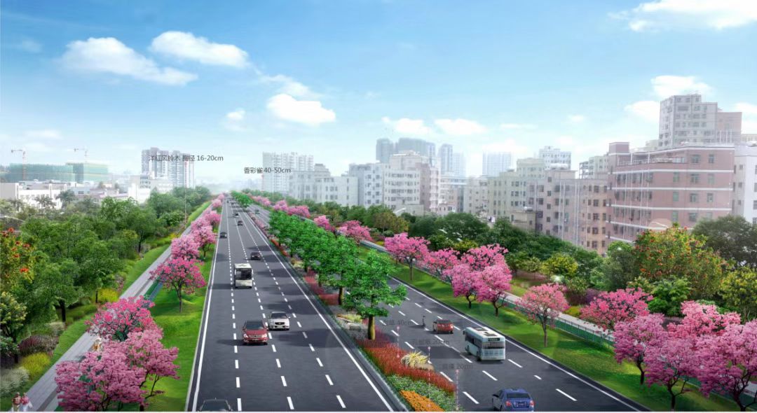 深圳观光路综合整治项目